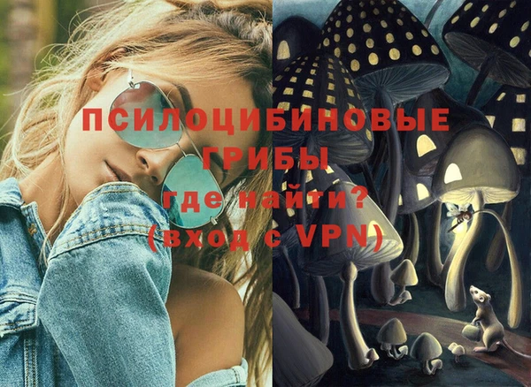 прущая мука Осташков