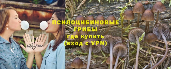 мдпв Осинники