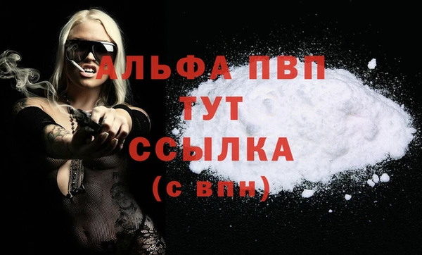 твердый Гатчина