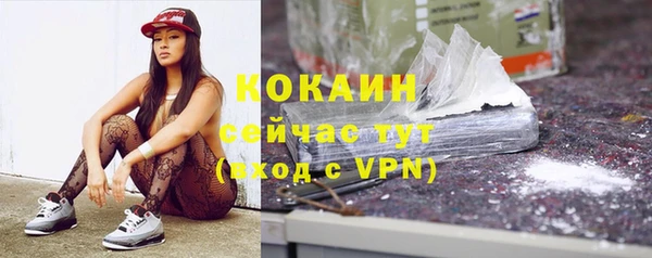 мдпв Осинники
